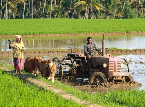 Farming Challenges