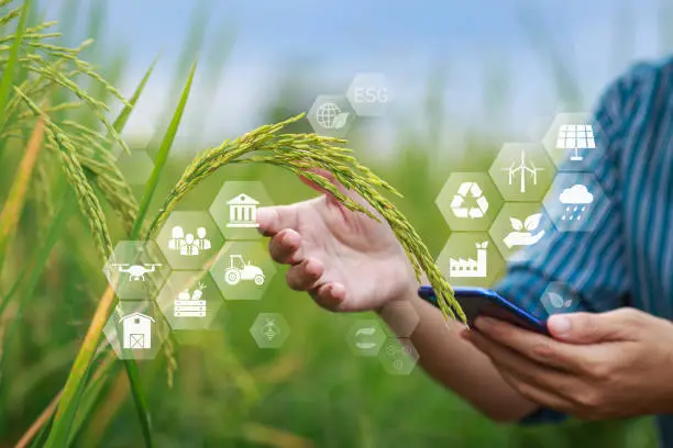 Krishi Kutumb Empowers FPOs
