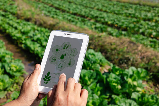 Tablet in field