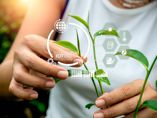 Smart sensor in agriculture