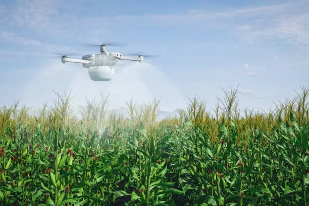 Drone spraying crops