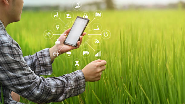 Farmer using a mobile app