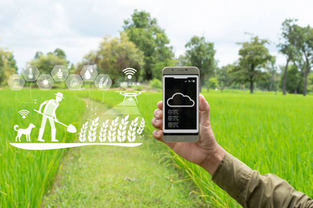 Digital farming illustration