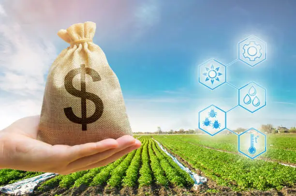 Farm produce money bag