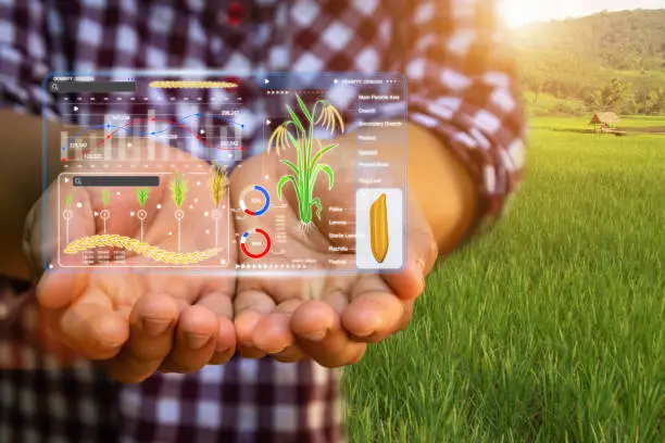 Farmer using digital platform