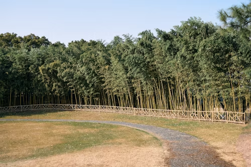 Natural wind barrier
