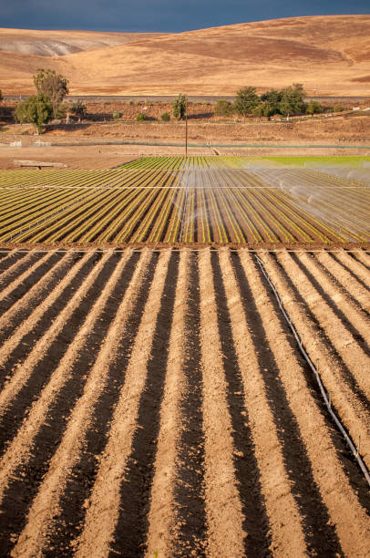 Irrigation system in farm field